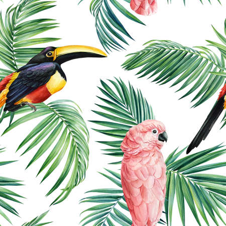 Tropical bird, toucan and parrot, green palm leaves watercolor illustration, botanical painting, seamless pattern designの写真素材