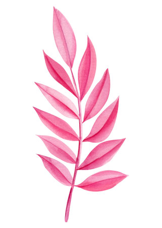 pink leaf on isolated background. floral element. Hand drawn watercolor painting.の写真素材