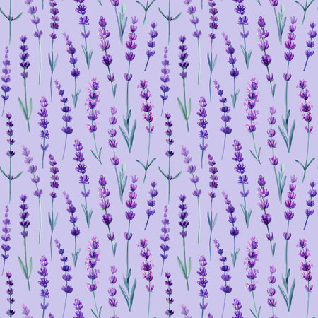 Violet flowers. Wildflower lavender hand drawing, flower watercolor style. Floral seamless pattern, wrapper.の写真素材