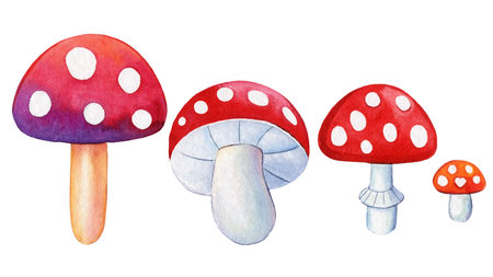 watercolor mushrooms set, fly agaric on a white background, bright drawing. Hippie retro 70-60s design elementsの写真素材
