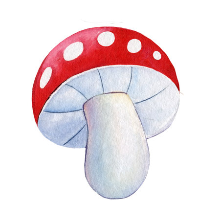 watercolor mushroom, fly agaric on a white background, bright drawing. Hippie illustration, retro 70-60s designの写真素材