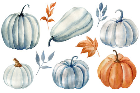 Pumpkins and leaves watercolor illustration, hand drawing, autumn set of elements on isolated white background,の写真素材