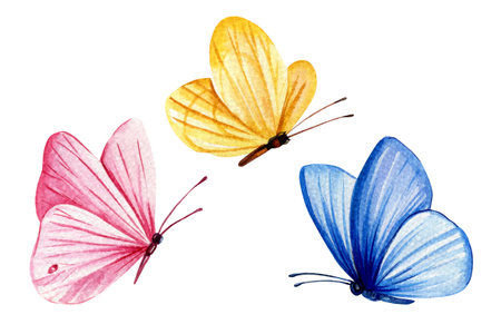 Butterfly watercolor painting Illustration for greeting card, invitation. Watercolor Tropical flying butterflies setの写真素材