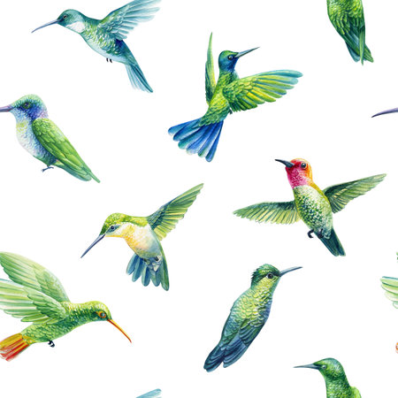Watercolor colorful birds, hand drawn hummingbirds background. Seamless pattern, backdrop design, fabric, wallpaperの写真素材