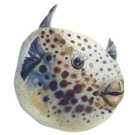 watercolor tropical spotted fish illustration, exotic marine animal with colorful dots ocean sea life clipart underwaterの写真素材