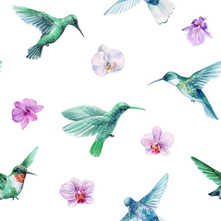 watercolor seamless pattern with hummingbirds and tropical orchids, exotic birds and purple flowers on white backgroundの写真素材