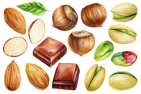 Watercolor Nuts and Chocolate Set with Almonds Hazelnuts Pistachios Green Leaf Candy Squares for Food Packaging and Dessert Designの写真素材