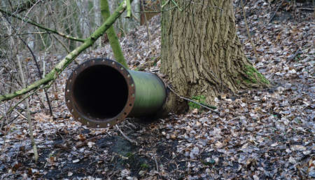 Old and dirty tube in the forestの写真素材