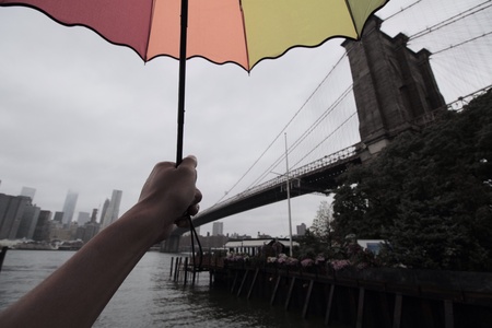 Rainbow nycの素材