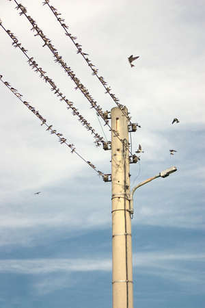 from the southの写真素材