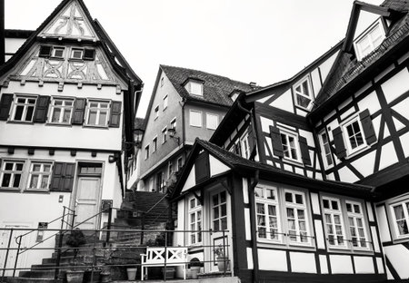 Fachwerk or half-timbered architecture