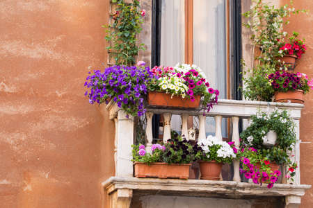 Balcony with colorful flowersの写真素材