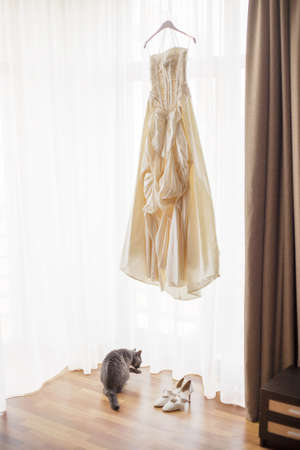Wedding dress hanging by the windowの写真素材