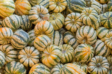 Green pumpkins with yellow stripes