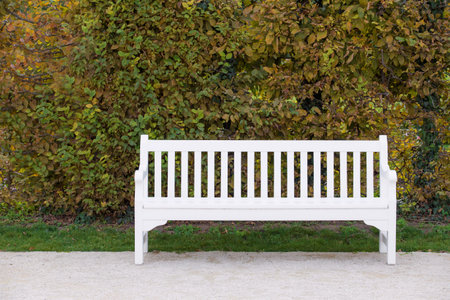 White bench in the park