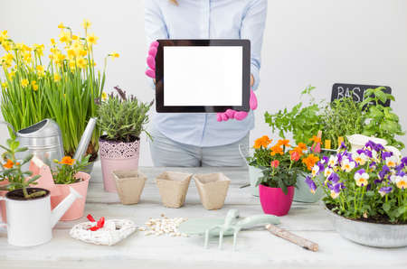 Gardener holding portable tabletの写真素材