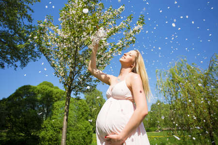 Beautiful woman with baby bump standing next to sakura treeの写真素材