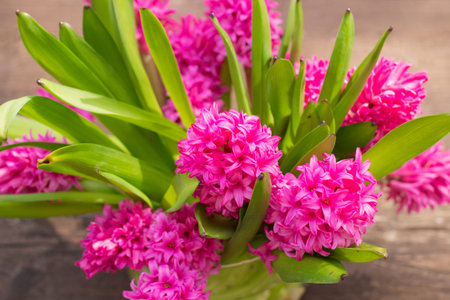 Bouquet of fresh pink spring flowersの写真素材