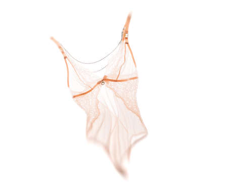 Sexy woman's lingerie bodysuit on white backgroundの写真素材