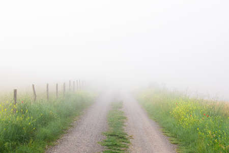 Country road leading into fogの写真素材