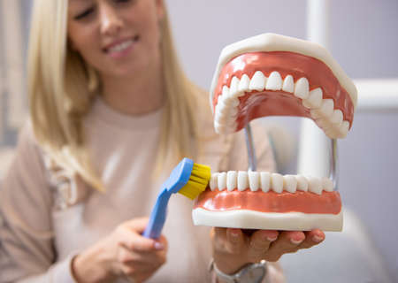 Concept of clean and healthy teethの写真素材