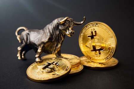 Bull figurine standing on bitcoins, concept of cryptocurrenciesの写真素材