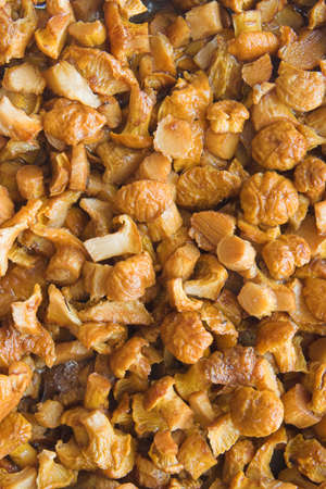 Beautiful bright yellow mushrooms on the frying pan took closeの写真素材