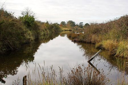 Pond with banks on each side.の写真素材