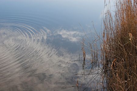 Ripples on a pond with the sky reflecting in the water.の写真素材