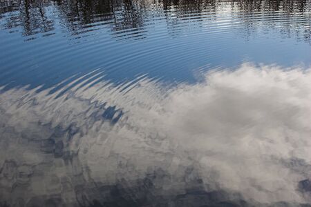 Ripples on a pond with the sky reflecting in the water.の写真素材