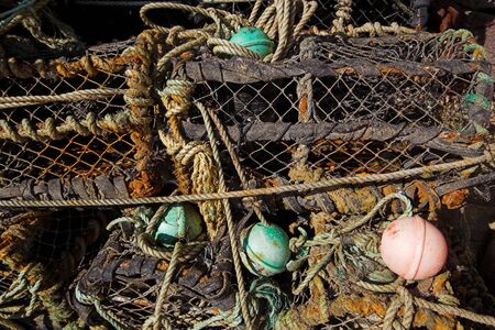 Lobster pots and rope tangled together.の写真素材