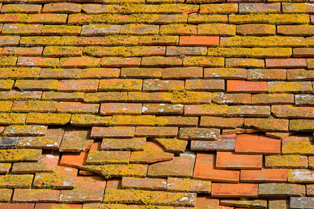 Red clay roof tiles partly coverd with lichen.の写真素材