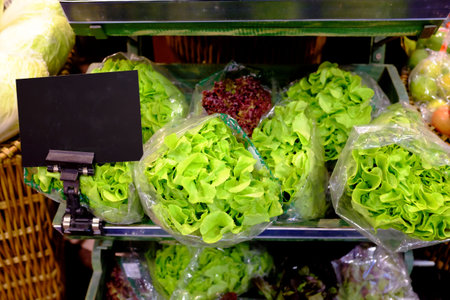 Green vegetablesの写真素材