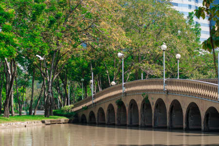 Bridge over the pond in Chatuchak Park.の写真素材