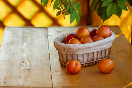 Ripe yellow plums in a wicker basket on a wooden tableの写真素材