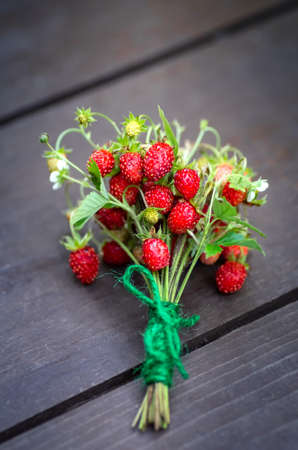 Wild strawberry with flowers and ripe berries. Concept of fresh greens and red berries on a dark rustic background.の写真素材