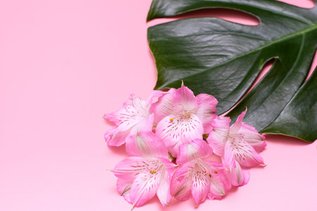 Tropical flowers on a pink background. Concept summer background with flowers. Delicate pink...