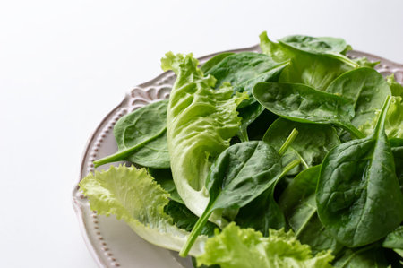 A mixture of spinach leaves and salana leaves on a plate. Selective focus, white background