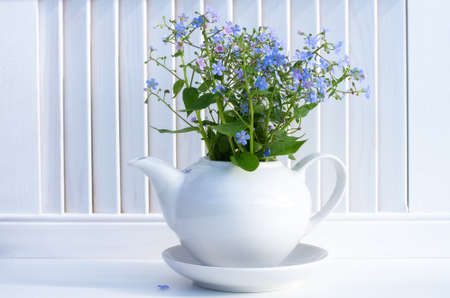 A bouquet of blue forget-me-nots in a white ceramic teapot. White background, spring compositionの写真素材