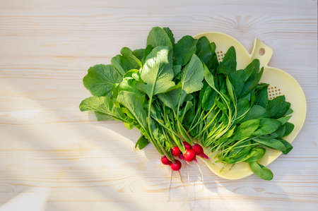 Fresh radish. Young leaves of spinach. Light wooden background. Place for text. Top view with copy spaceの写真素材