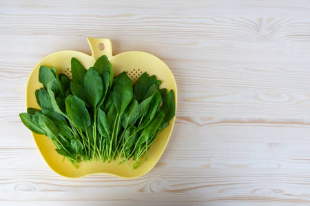 Young leaves of spinach. Light wooden background. Place for text. Top view with copy spaceの写真素材