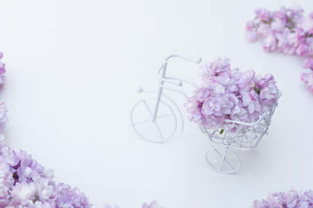 Vintage toy bike white. Bouquet of lilac, holiday decoration. Pastel colors.の写真素材