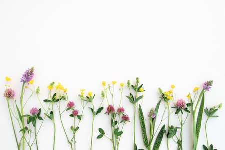 Flower composition. Summer flowers on pastel pink background. Top view, flat lay.の写真素材