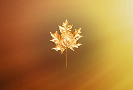Golden maple leaf on a colorful background. Flat lay, top view. The concept of minimalism.