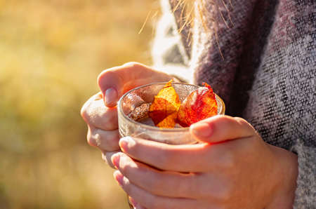 Cozy autumn. A cup of tea in female hands against the backdrop of an autumn landscape.の写真素材