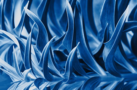 Natural background of leaves close up. Tropical leaves. Toned blue.