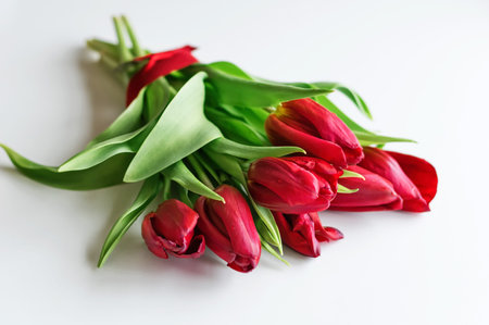 Bouquet of red tulips with a red ribbon on a white background. View from above. Selective focus. Close up.の写真素材