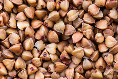 Buckwheat groats macro. Healthy nutrition, diet. Abstract background. Close up.の写真素材