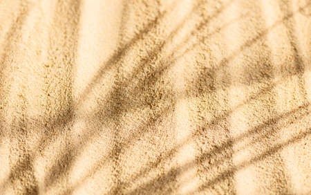 Sandy beach background top view with visible sand texture. Palm shadows. Tropical background.の写真素材