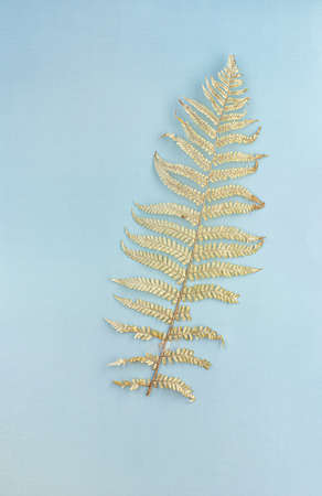 Dry fern leaf on a blue background, environmental concept. Flat lay.の写真素材
